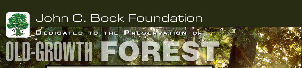 John C. Bock Foundation